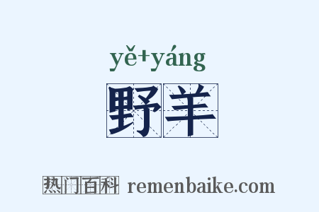 野羊是什么意思的图片